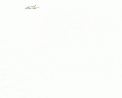 IMG_20231001_091218