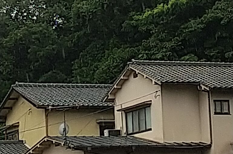 HORIZON_0001_BURST20200707140926282_COVER