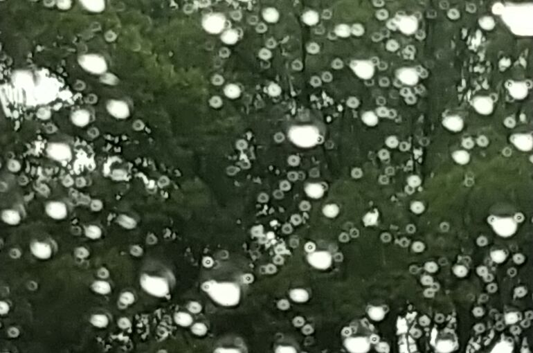 HORIZON_0001_BURST20200713133955255_COVER