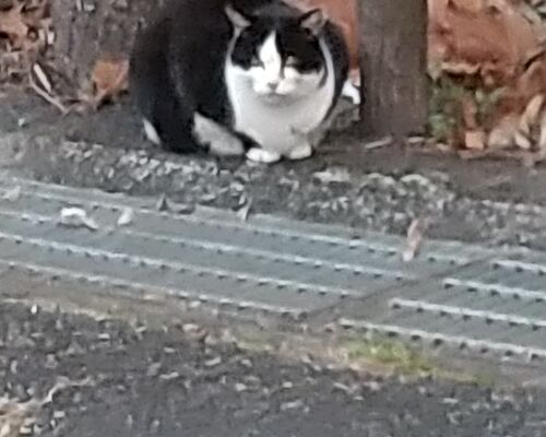 HORIZON_0001_BURST20210103165130729_COVER