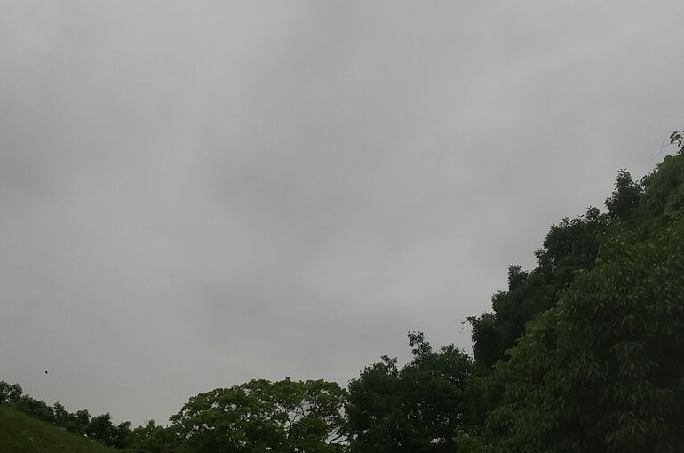 DSC_0290