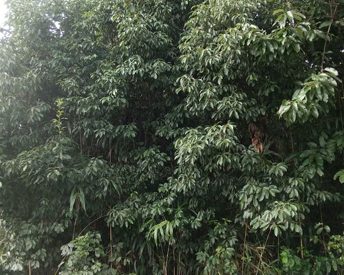 1629527928242924850630333623649