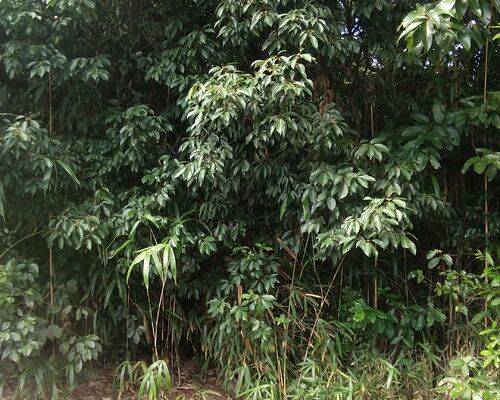 16296949132055495323580172157591