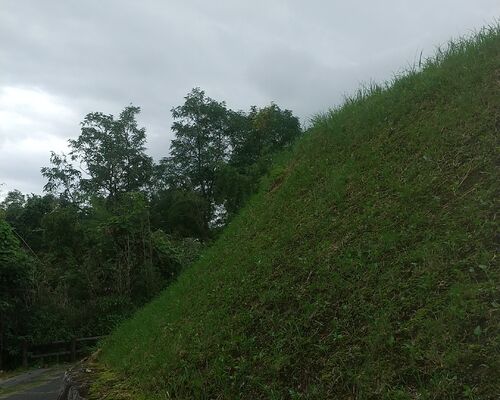 HORIZON_0001_BURST20210824152503648_COVER