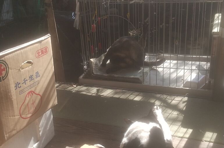 HORIZON_0001_BURST20220127110128276_COVER