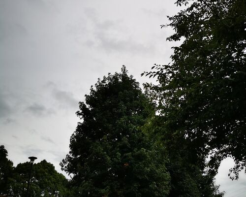 IMG_20220816_172522