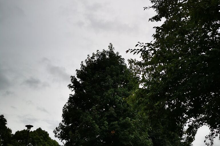IMG_20220816_172522